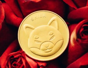 Shiba Inu (SHIB)