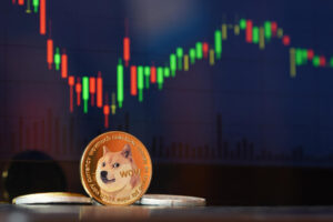 Elon tells Doge investors not to bet the farm.