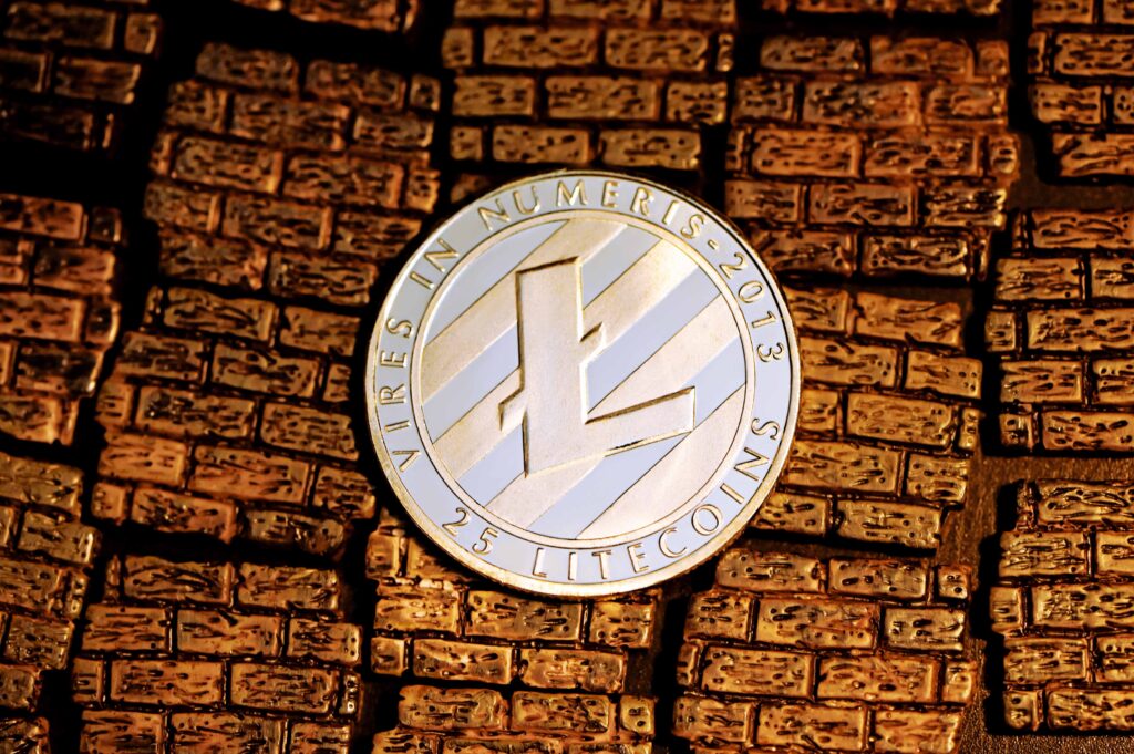 New LTC addresses see seven-day increase
