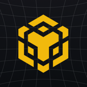 BNB Chain logo. SOurce: Twitter