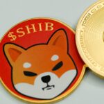 A Shiba Inu (SHIB) coin. Source: Unsplash