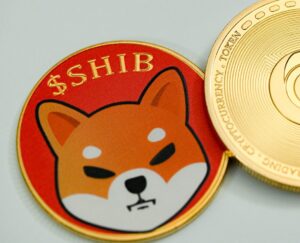 A Shiba Inu (SHIB) coin. Source: Unsplash