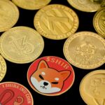Shiba Inu (SHIB) coin. Pic: Unsplash