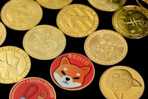 Shiba Inu (SHIB) coin. Pic: Unsplash