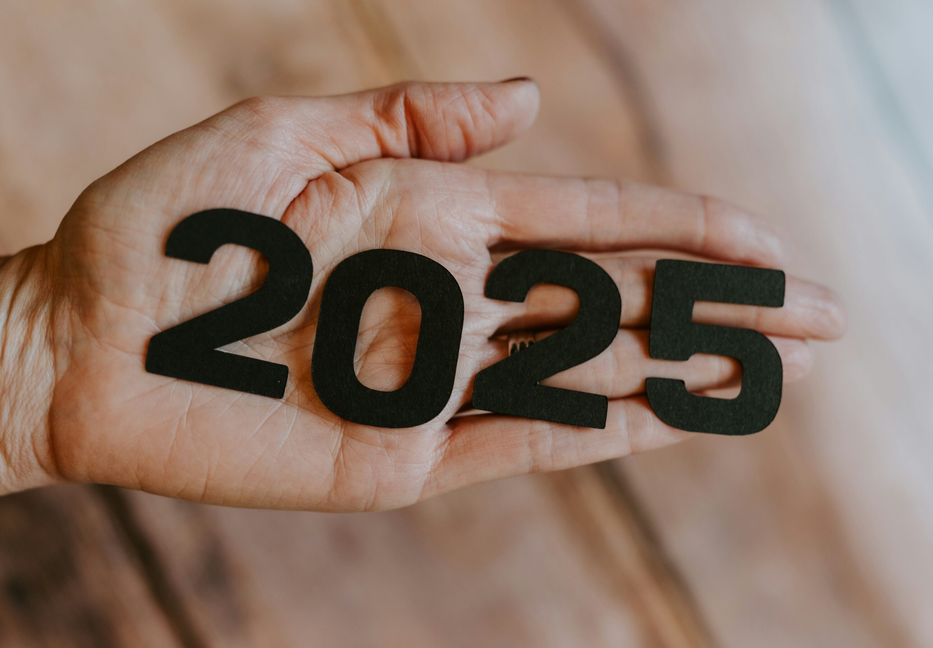 MicroStrategy and Metaplanet make big Bitcoin plans for 2025