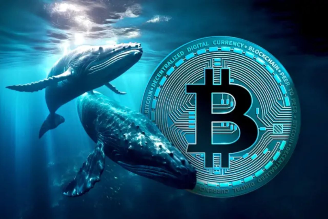 New Bitcoin Whales Spark Third Profit-Taking Wave