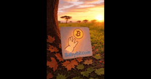 Babybitcoin
