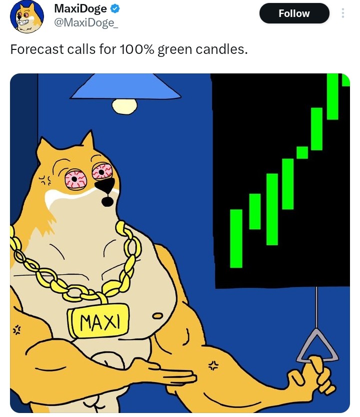 Maxi Doge tweet