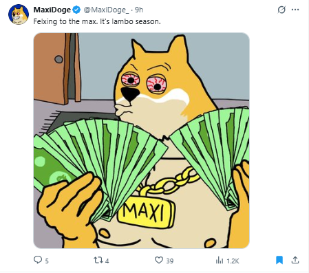 Maxi doge tweet