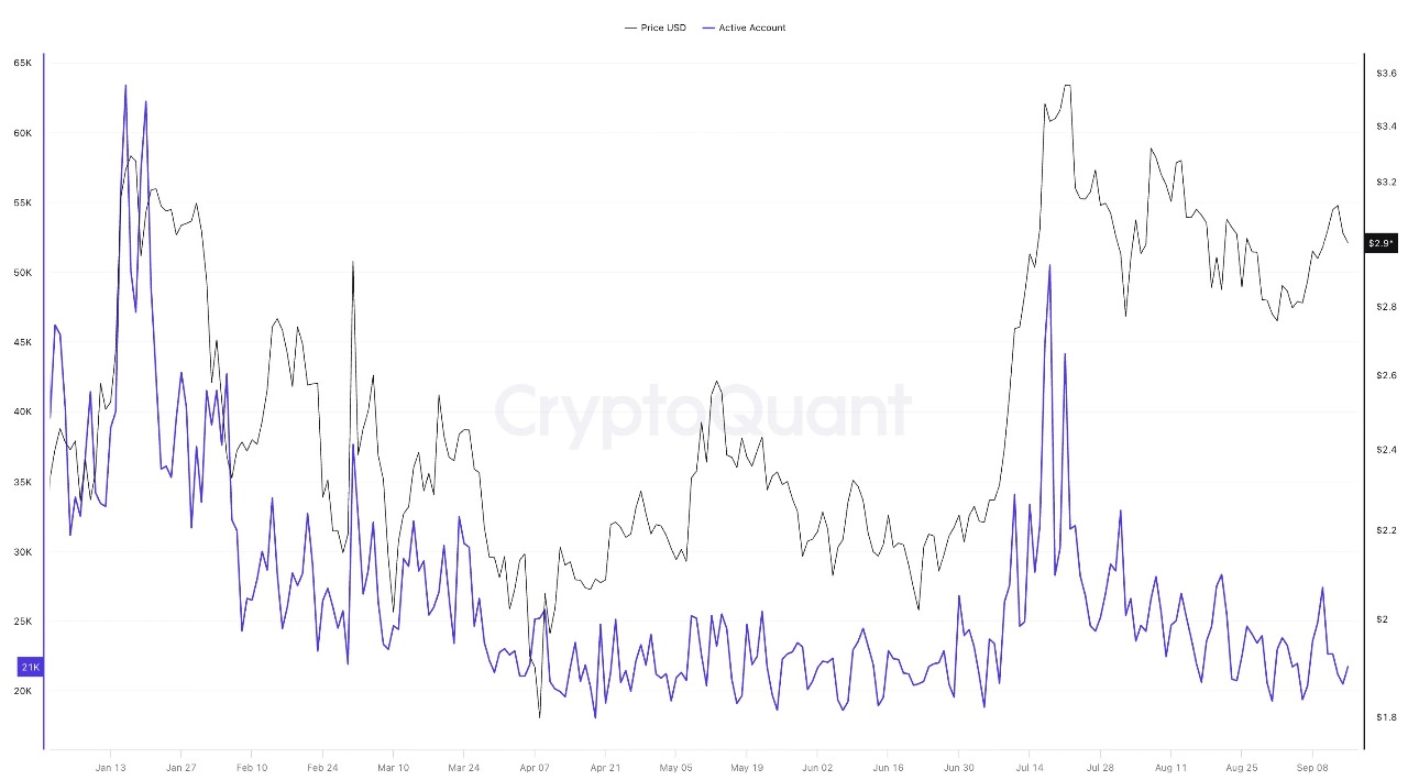 XRP Price Steady at $3.02 as Whales Sell $476M