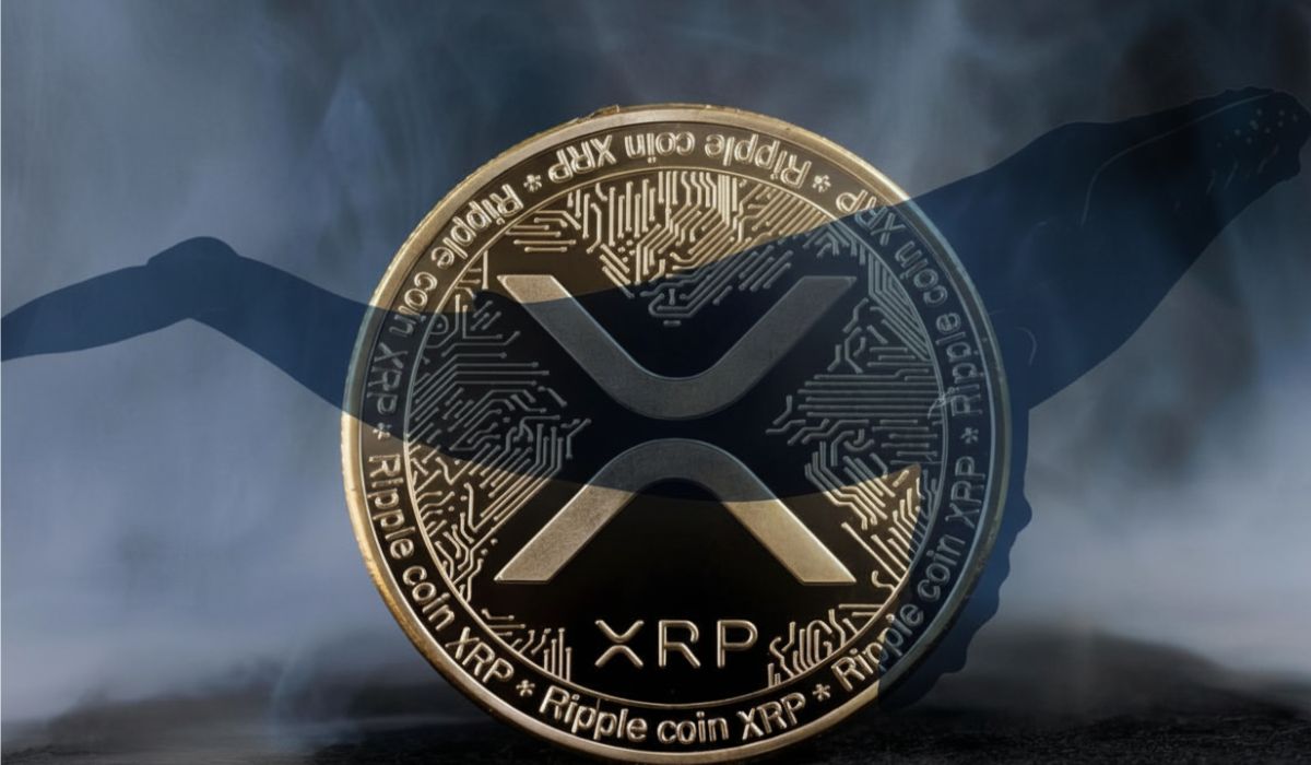 XRP Price Surges 3.5% As Whales Make Massive Buys