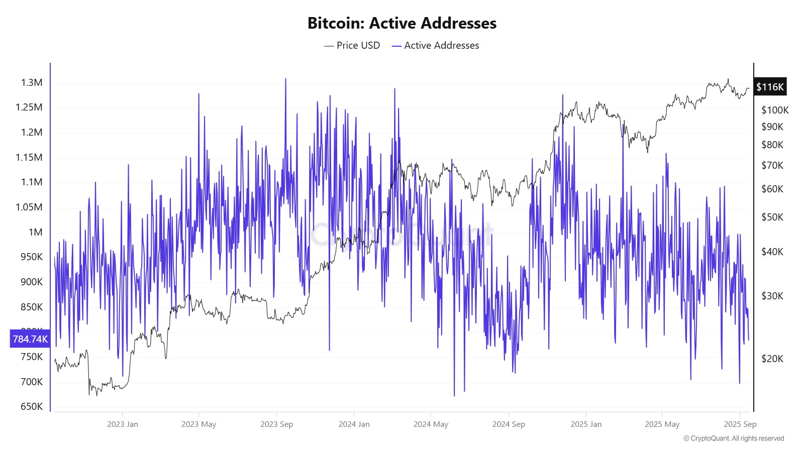 Bitcoin Stalls Below $116K as Peter Schiff Issues Fed Warning