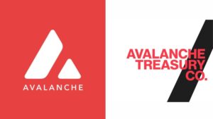 Avalanche Treasury Co
