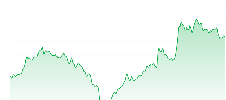 Dogwifhat price 