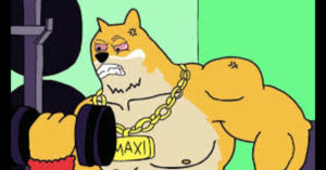 Maxi doge
