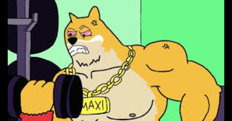 Maxi doge
