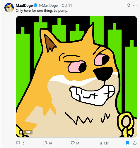Maxi doge tweet