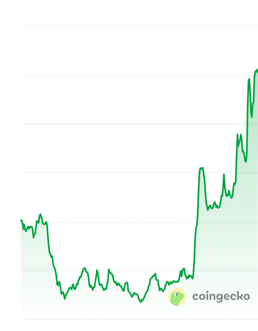 Minidoge price chart