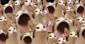 Popcat
