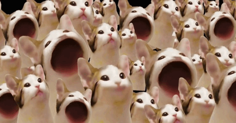 Popcat