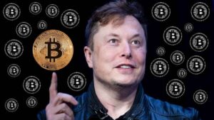 elon musk bitcoin