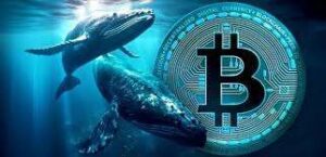 Bitcoin whales