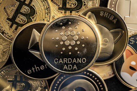 Cardano