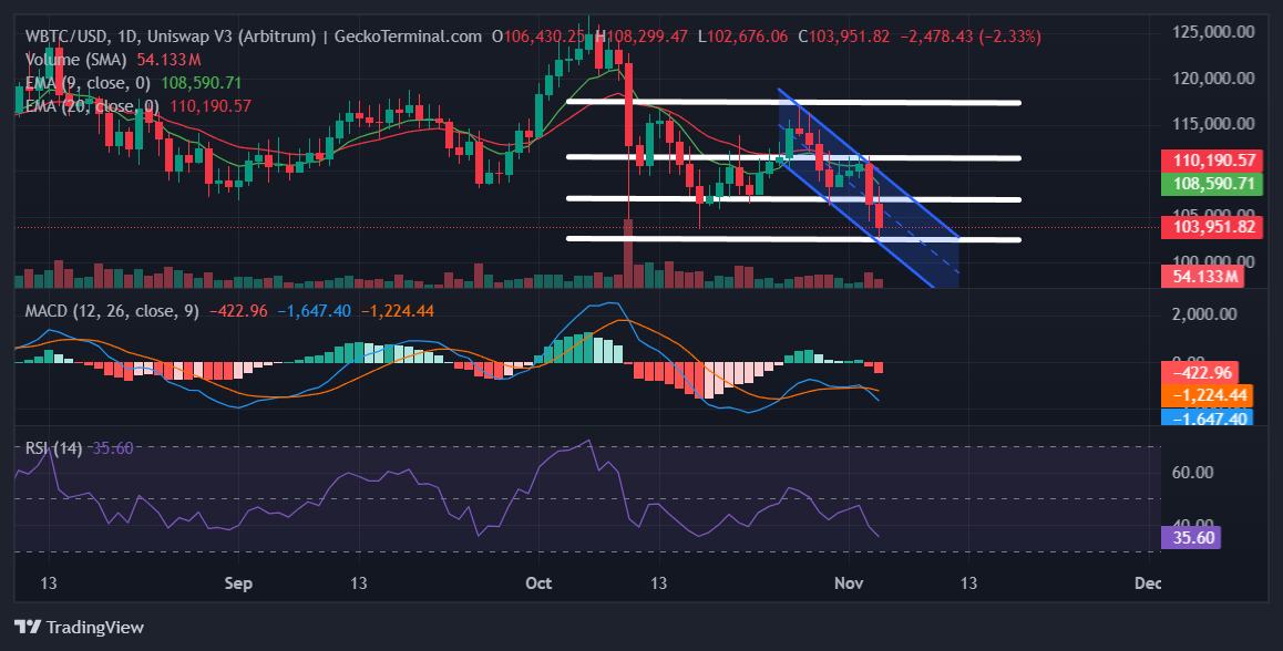 Daily chart for WBTC/USD