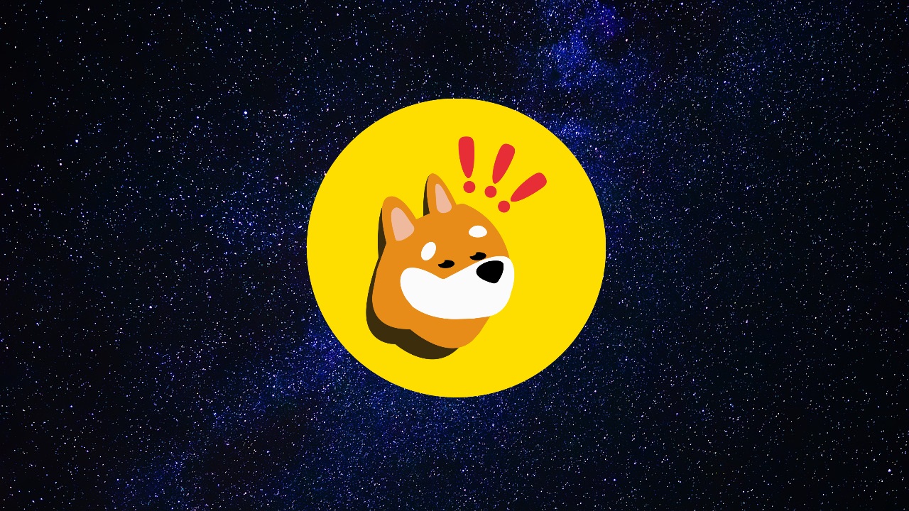 Bonk main image