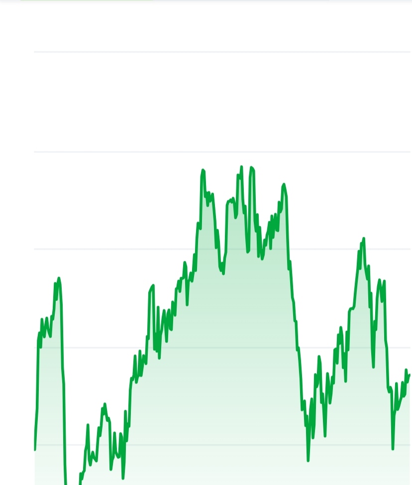 Baby doge coin price chart