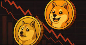 Maxi doge