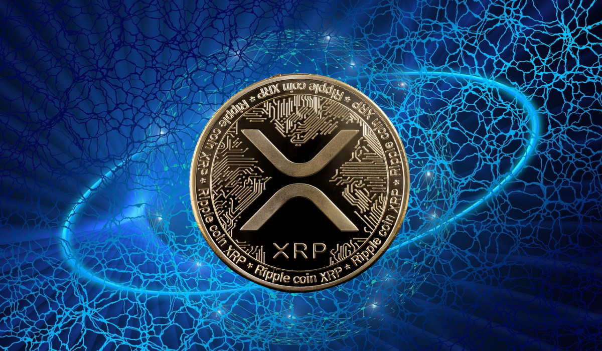 XRP Price Falls as Large-Holder Accumulation Signals Long-Term