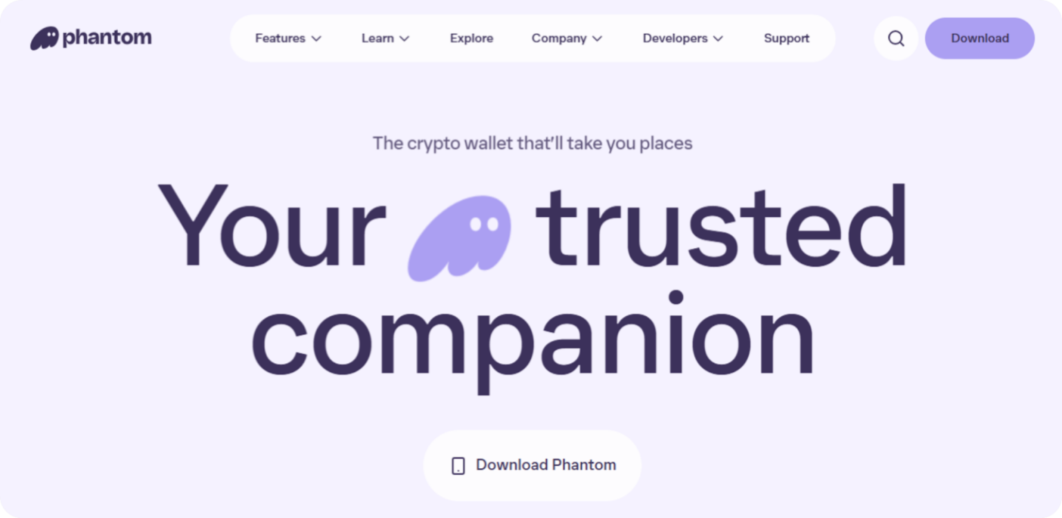 15 BEST DECENTRALIZED CRYPTO WALLETS 2026 COMPARISON REVIEWS visual data 2