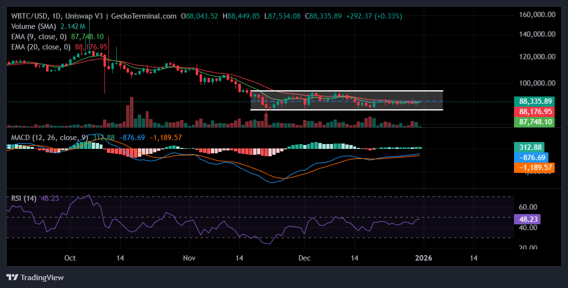 Daily chart for WBTC/USD