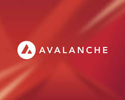 Avalanche main image