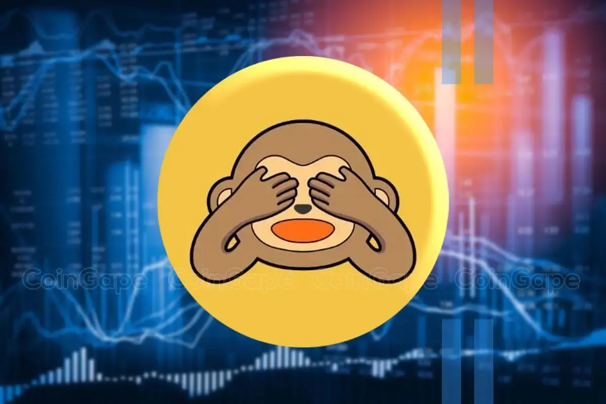 Wise Monkey MONKY main image