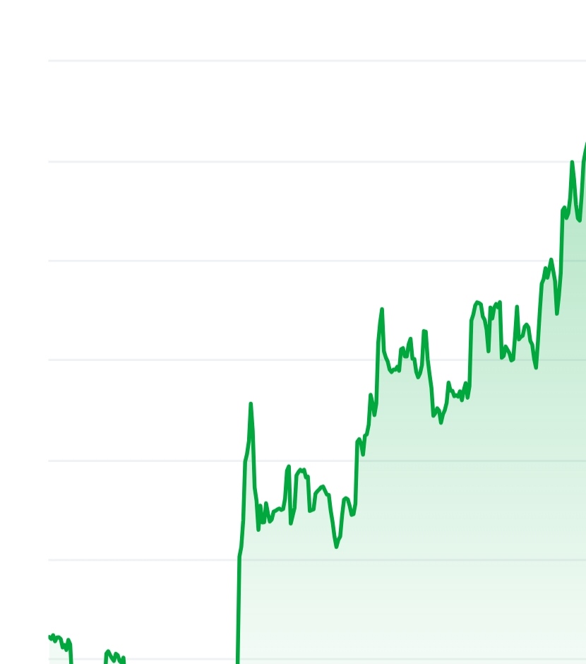 Cheems token price chart