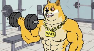 maxi doge 100x crypto