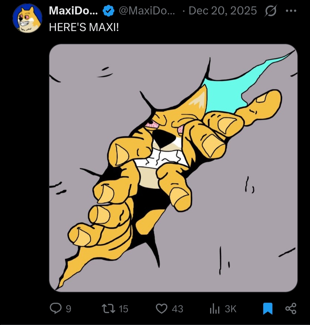 Maxi doge tweet 