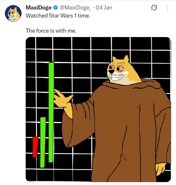 Maxi tweet 