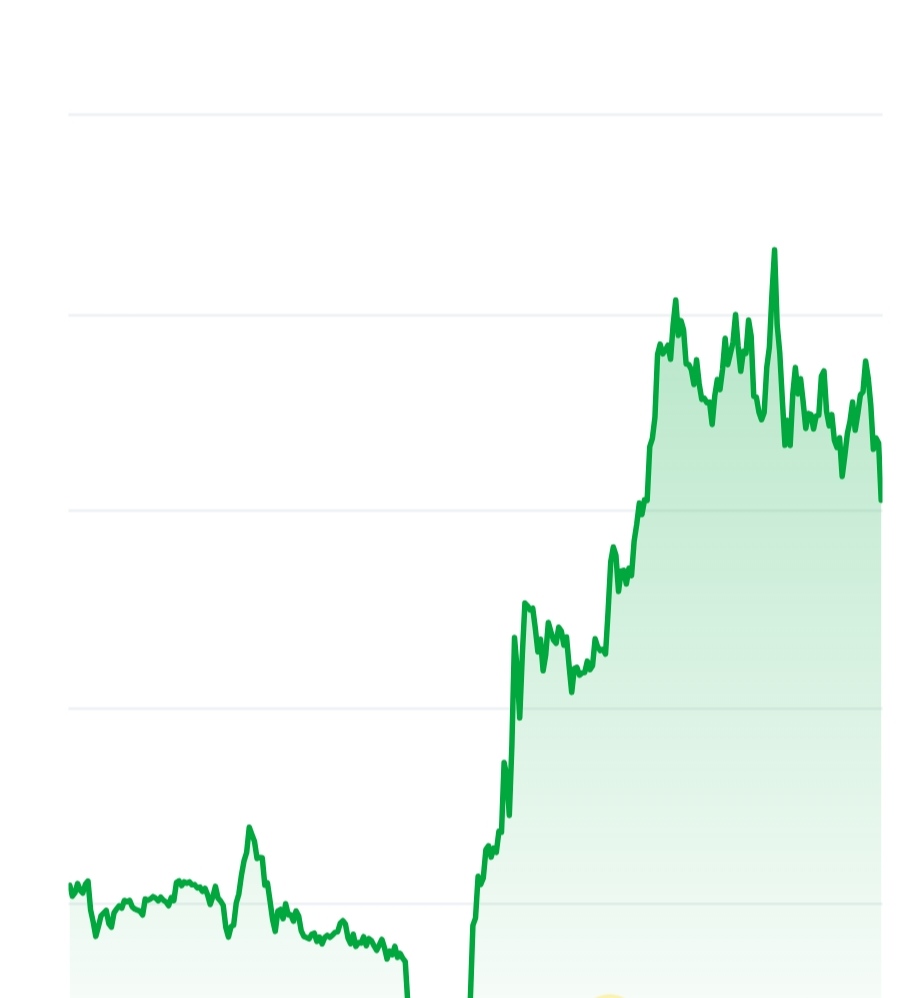 Popcat price chart
