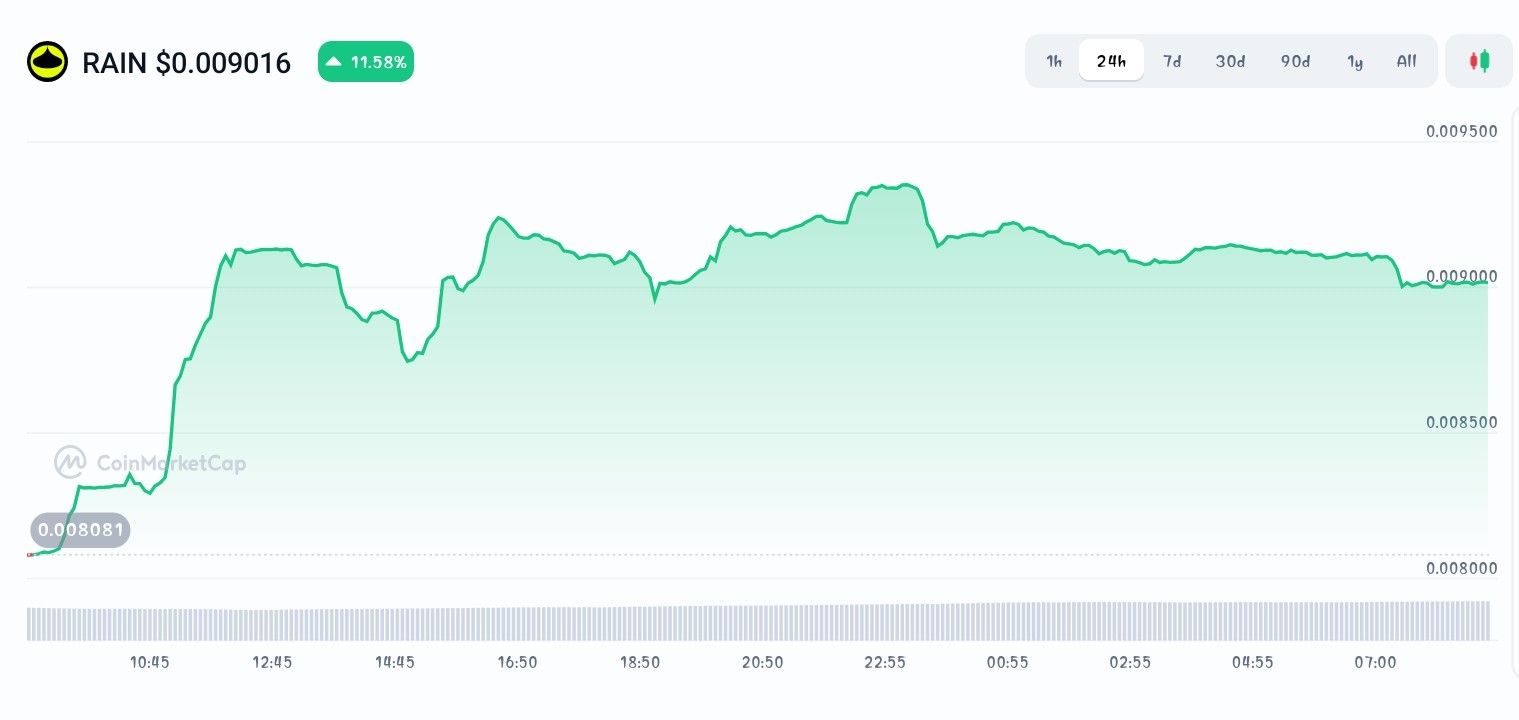 Rain price chart 