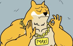 Maxi Doge Named as Best Meme Coin to Buy With Presale Nears $5M