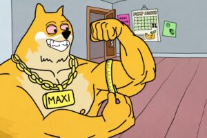 best altcoins to buy - MAXI