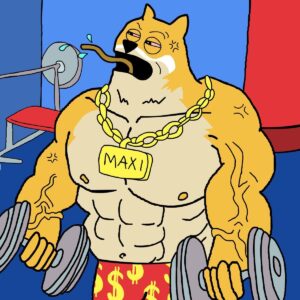 best crypto to buy maxi doge gym
