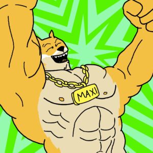 best crypto to buy maxi doge green dream
