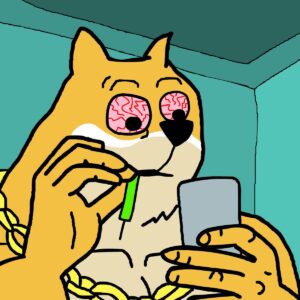 next meme coin to buy maxi doge hold tight