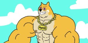 Maxi Best Presale