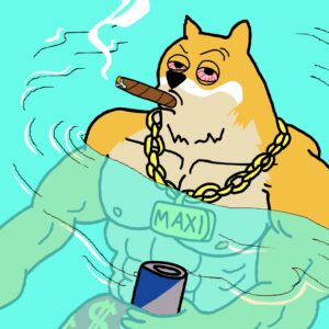 best crypto to buy maxi doge fam chillin