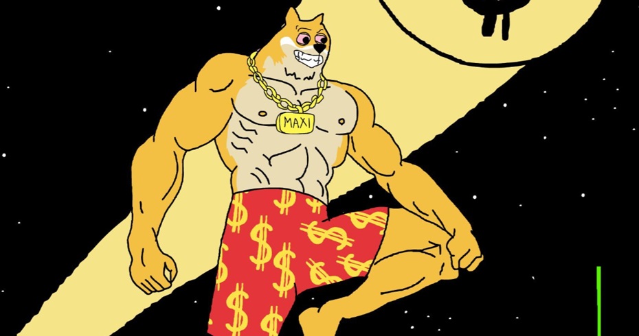 Maxi Doge next 100x crypto